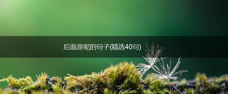 后面是呢的句子(精选40句),第1张