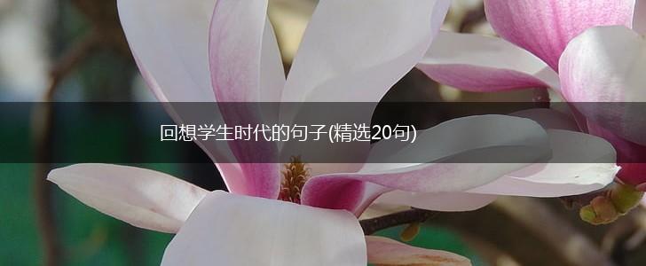 回想学生时代的句子(精选20句),第1张