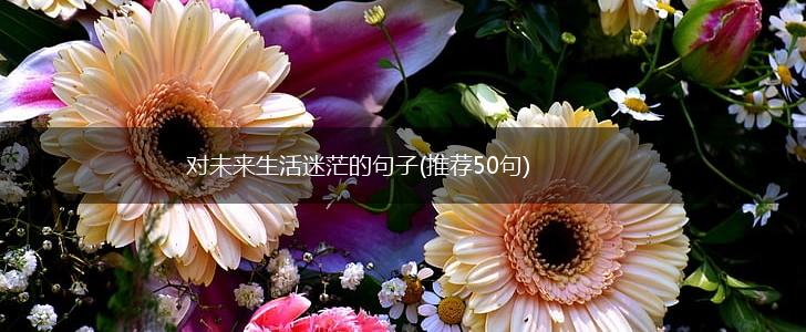 对未来生活迷茫的句子(推荐50句),第1张