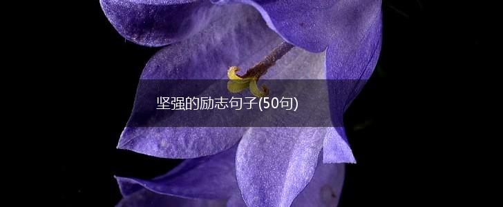 坚强的励志句子(50句),第1张