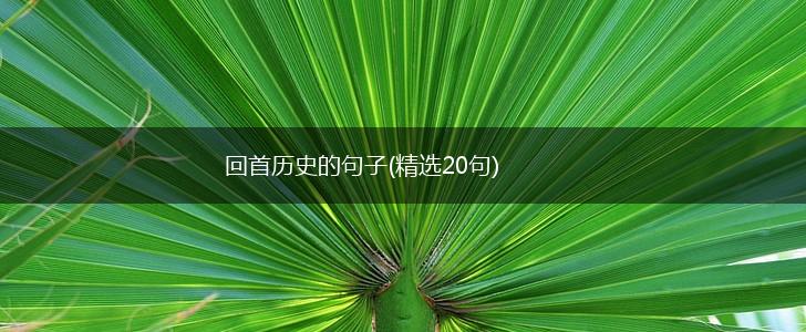 回首历史的句子(精选20句),第1张