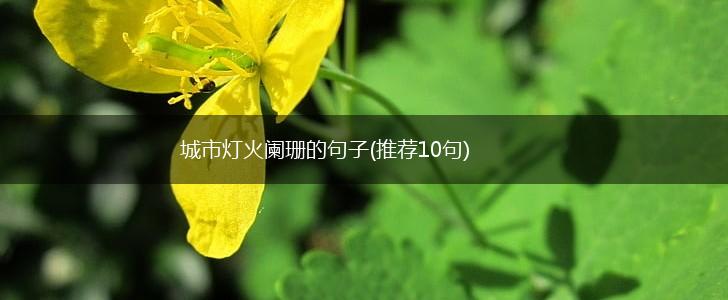 城市灯火阑珊的句子(推荐10句),第1张