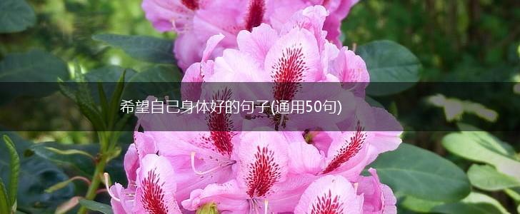 希望自己身体好的句子(通用50句),第1张