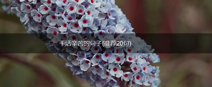 干活辛苦的句子(推荐20句),第1张