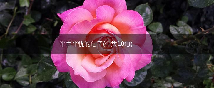 半喜半忧的句子(合集10句),第1张