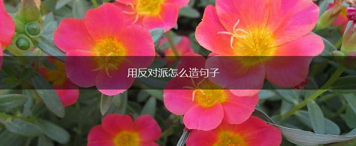 用反对派怎么造句子,第1张 用反对派怎么造句子,第1张
