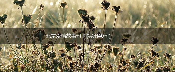 北京爱情故事句子(实用40句),第1张