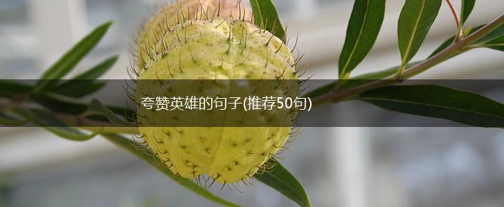 夸赞英雄的句子(推荐50句),第1张