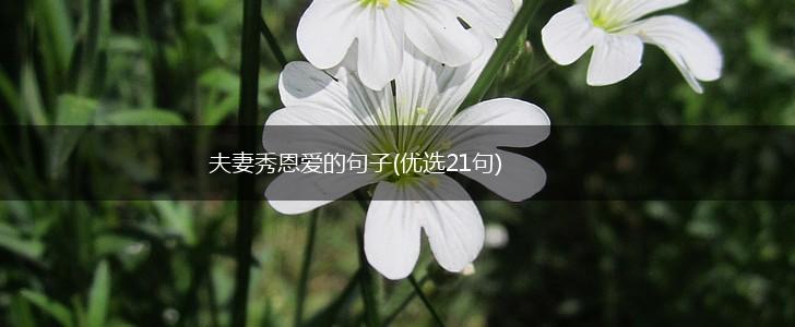 夫妻秀恩爱的句子(优选21句),第1张