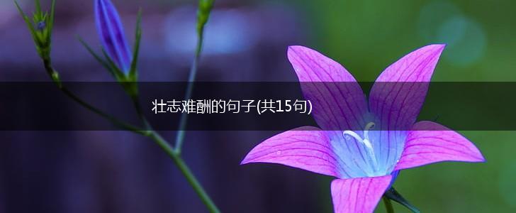 壮志难酬的句子(共15句),第1张