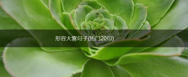 形容大雾句子(热门20句),第1张