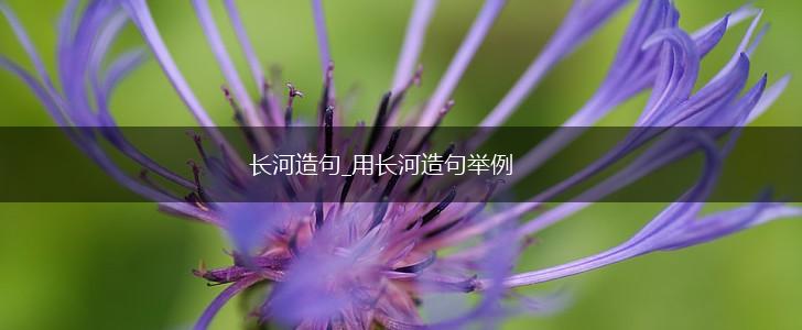 长河造句_用长河造句举例,第1张