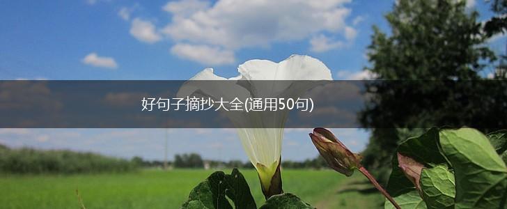 好句子摘抄大全(通用50句),第1张