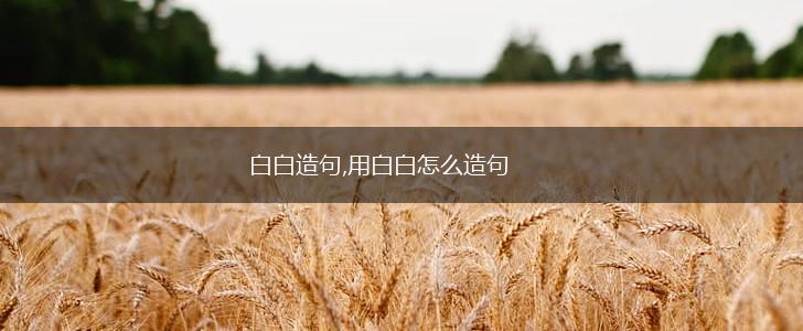 白白造句,用白白怎么造句,第1张