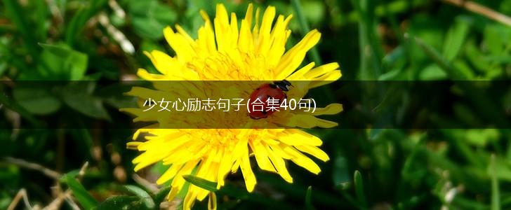 少女心励志句子(合集40句),第1张