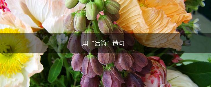 用“话筒”造句,第1张 用“话筒”造句,第1张