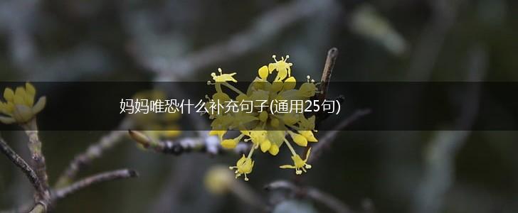 妈妈唯恐什么补充句子(通用25句),第1张