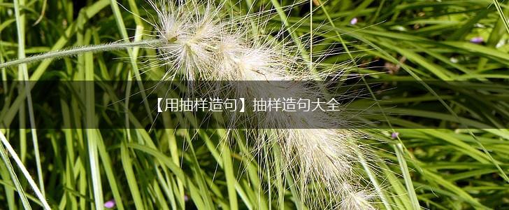 【用抽样造句】抽样造句大全,第1张