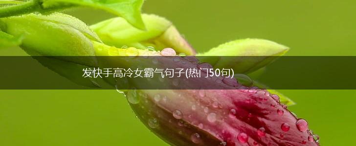 发快手高冷女霸气句子(热门50句),第1张