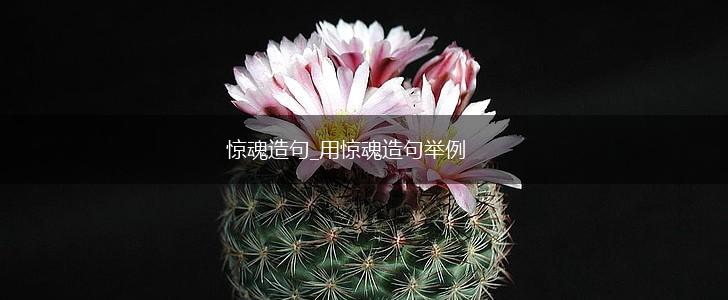 惊魂造句_用惊魂造句举例,第1张 惊魂造句_用惊魂造句举例,第1张