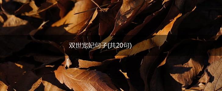 双世宠妃句子(共20句),第1张
