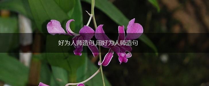 好为人师造句,用好为人师造句,第1张 好为人师造句,用好为人师造句,第1张