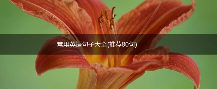 常用英语句子大全(推荐80句),第1张