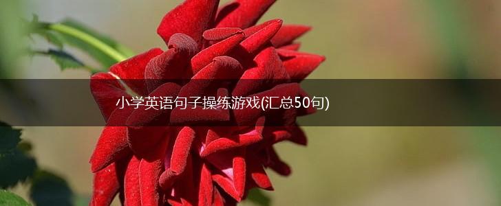 小学英语句子操练游戏(汇总50句),第1张