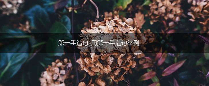 第一手造句_用第一手造句举例,第1张