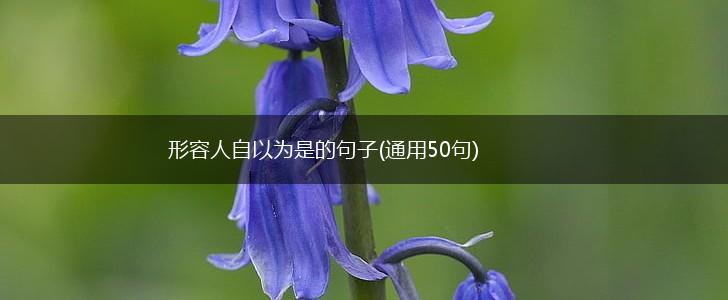 形容人自以为是的句子(通用50句),第1张