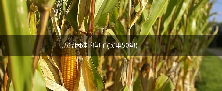 历经困难的句子(实用50句),第1张