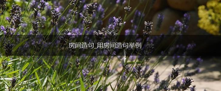 房间造句_用房间造句举例,第1张