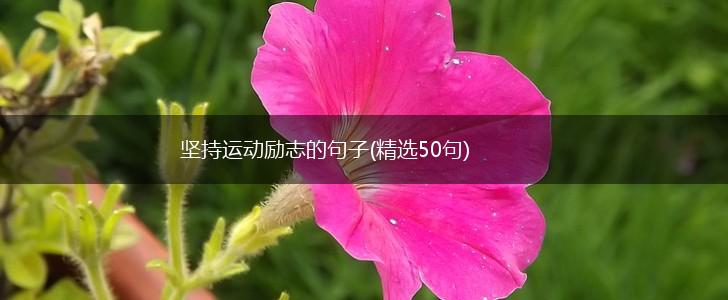坚持运动励志的句子(精选50句),第1张