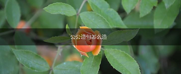 公公造句怎么造,第1张 公公造句怎么造,第1张