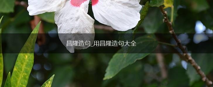 昌隆造句_用昌隆造句大全,第1张