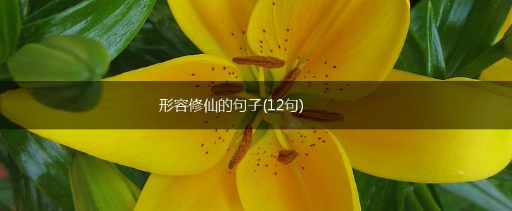 形容修仙的句子(12句),第1张