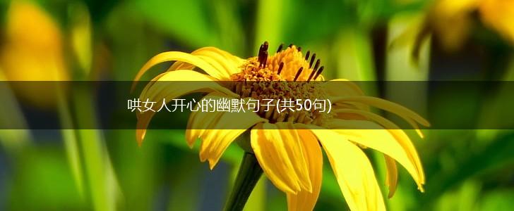 哄女人开心的幽默句子(共50句),第1张