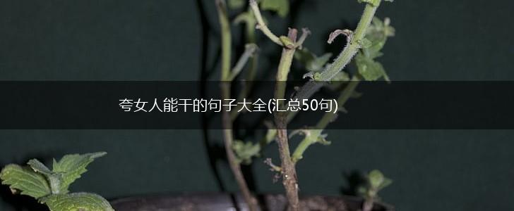 夸女人能干的句子大全(汇总50句),第1张