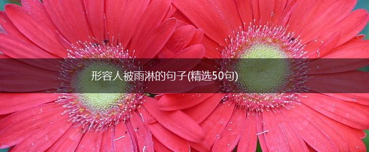 形容人被雨淋的句子(精选50句),第1张