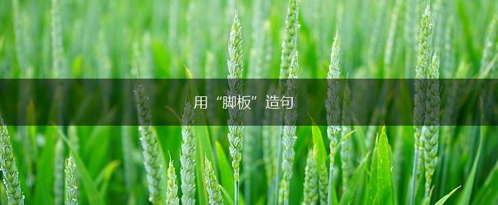用“脚板”造句,第1张 用“脚板”造句,第1张
