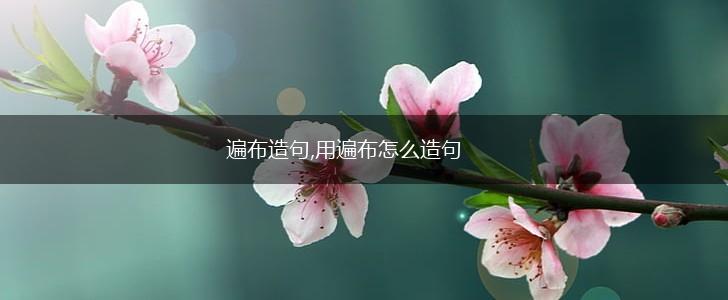 遍布造句,用遍布怎么造句,第1张