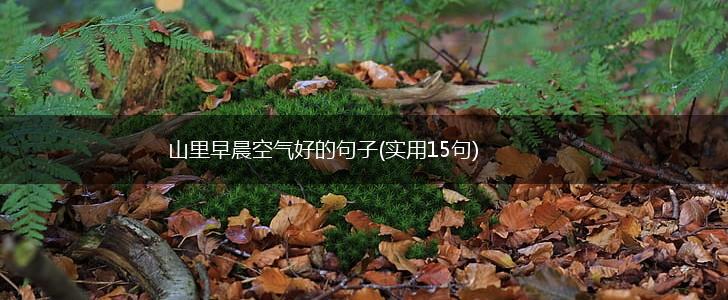 山里早晨空气好的句子(实用15句),第1张
