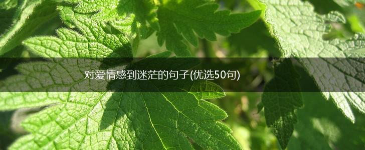对爱情感到迷茫的句子(优选50句),第1张