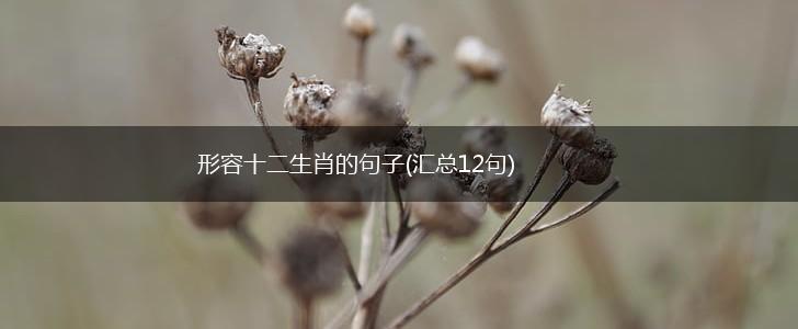 形容十二生肖的句子(汇总12句),第1张