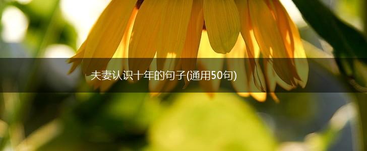 夫妻认识十年的句子(通用50句),第1张