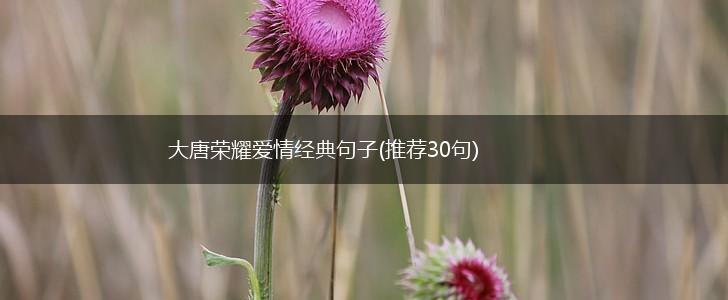 大唐荣耀爱情经典句子(推荐30句),第1张