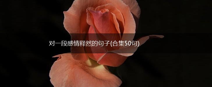 对一段感情释然的句子(合集50句),第1张