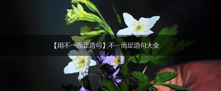 【用不一而足造句】不一而足造句大全,第1张