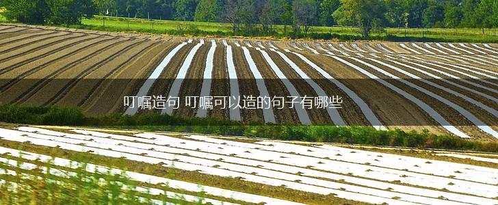 叮嘱造句 叮嘱可以造的句子有哪些,第1张