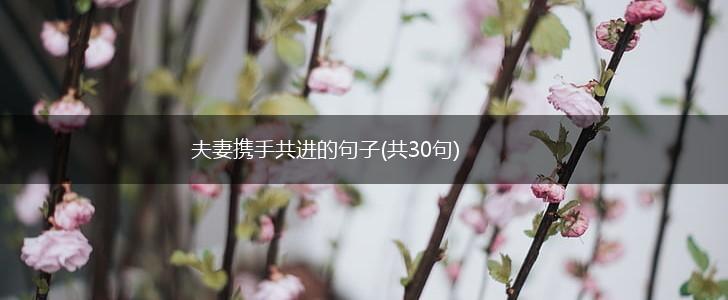 夫妻携手共进的句子(共30句),第1张